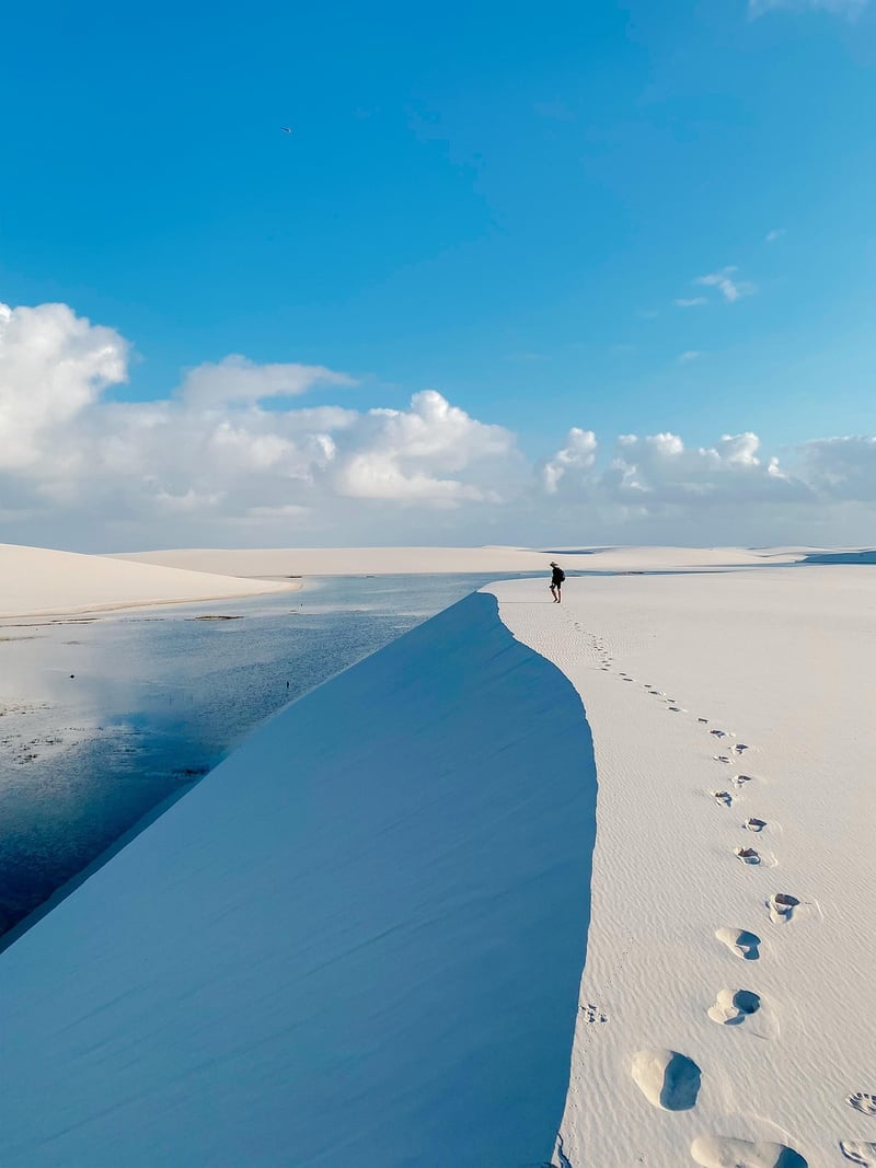 Mindful Trekking